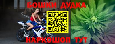 прущие крисы Ипатово