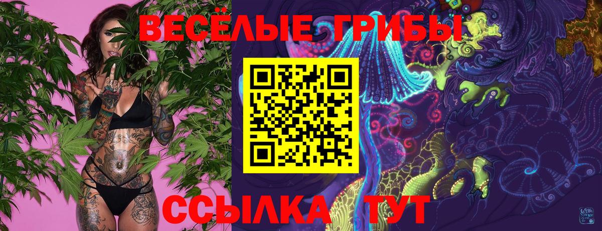 Галлюциногенные грибы мицелий  Вход с VPN  Псилоцибиновые грибы мицелий  Одинцово 